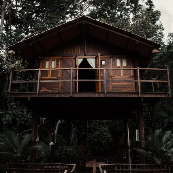 pexels-isabella-mendes-107313-1795508